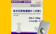 狗狗体内有虫有哪些表现?一粒睦宠MUPET驱杀9种高发虫更省心