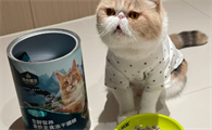 传奇精灵猫粮是高端的吗