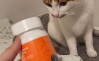 猫狗益生菌推荐:芮芽纪RIZZBUZZ双效肠胃养护