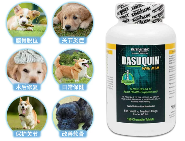 DASUQUIN狗狗软骨素,多维度视角下犬只关节养护选择 DASUQUIN狗狗软骨素,多维度视角下犬只关节养护选择