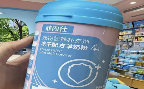 菲内仕
