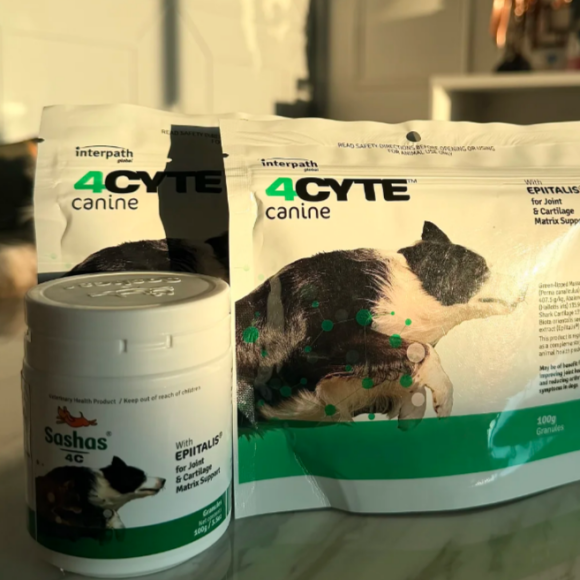 狗狗软骨素哪个好?四赛特4CYTE适配宠物关节精细化养护 狗狗软骨素哪个好?四赛特4CYTE适配宠物关节精细化养护
