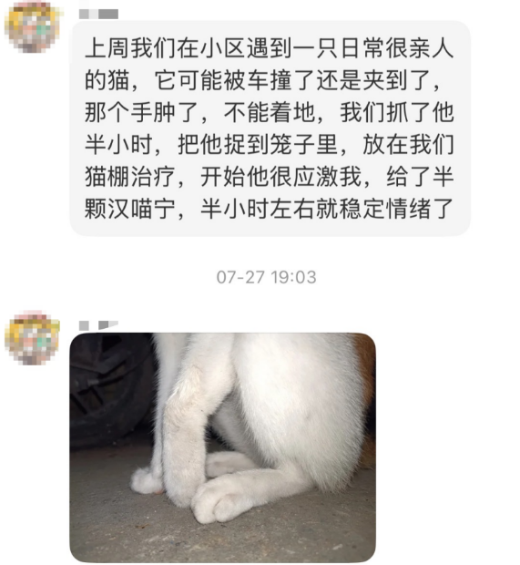 宠物专用药品品牌推荐汉维宠仕汉喵宁，猫咪抗应激的真实使用体验