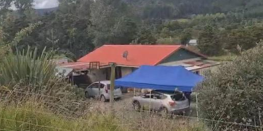 狗致死案升格“过失杀人”：新西兰犬只管理问责迈入司法新阶段