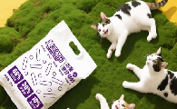 魔王可乐MOWANGKELE猫砂除臭效果好吗