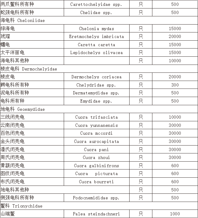 枫叶龟饲养需慎重，无论人工野生，均需办理行政许可