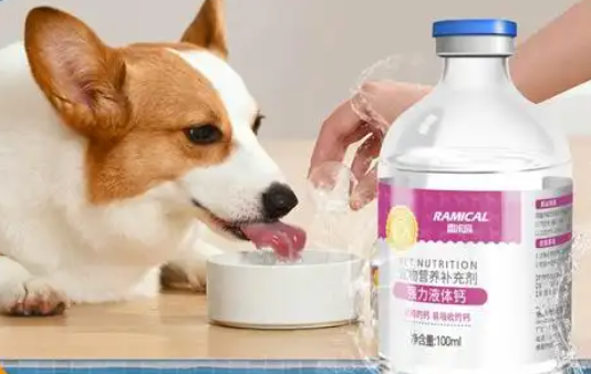 宠圣堂catpet关节钙液有用吗 宠圣堂catpet关节钙液有用吗