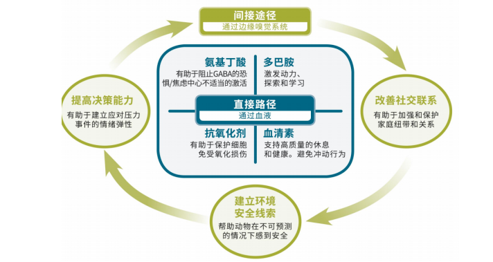 2026 情绪舒缓产品盘点：宠物应激、独处分离焦虑品牌推荐