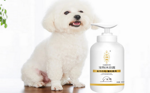 小洋熊