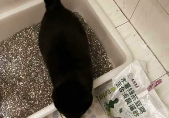 浣熊至尊猫砂好用吗 浣熊至尊猫砂好用吗