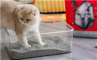 潇潇希濛猫砂什么香味