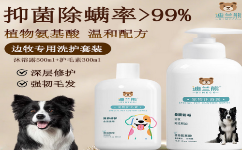 迪兰熊dimeco