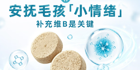 5款宠物复合维生素测评,安旺仕ANIWINS多维片值得长期喂吗? 5款宠物复合维生素测评,安旺仕ANIWINS多维片值得长期喂吗?