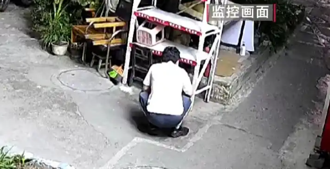 贵阳一男子故意用弹弓射流浪猫，监控拍下全程