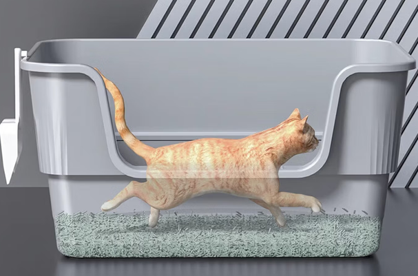 逄小宠猫砂盆值得买吗