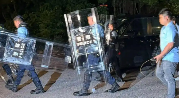 女子被流浪狗袭击致死，监控拍到其被狗追赶！