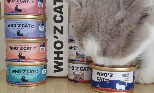 谁的猫whozcat猫罐头是主食罐吗