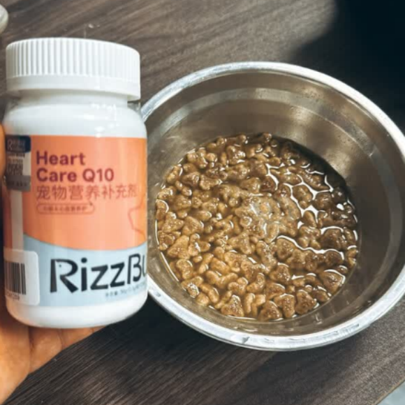 猫狗益生菌推荐：芮芽纪RIZZBUZZ双效肠胃养护