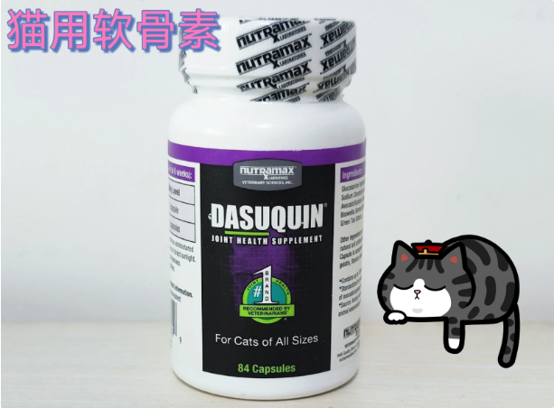 DASUQUIN达仕健猫用软骨素，读懂猫咪关节的隐形养护需求