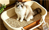 爪心相护猫砂盆好用吗真实评价