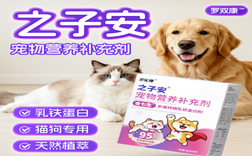 罗双康