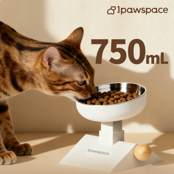 IPAWSPACE不锈钢宠物碗预防黑下巴效果好不好?材质细节是关键 IPAWSPACE不锈钢宠物碗预防黑下巴效果好不好?材质细节是关键