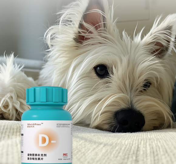 诺仕爪爪NOURISHPAWS犬猫维生素片怎么选？14合1复合配方比零散补充更省心