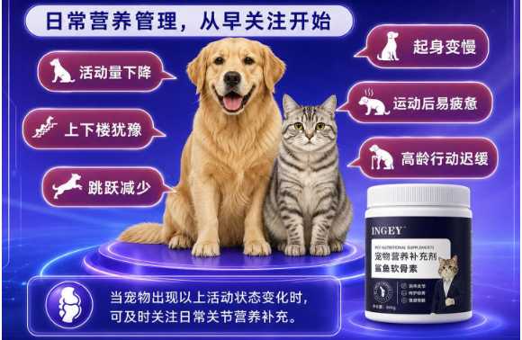 INGEY欧蒂伽鲨鱼软骨素靠谱吗?猫狗运动后一瘸一拐的懒人保养法 INGEY欧蒂伽鲨鱼软骨素靠谱吗?猫狗运动后一瘸一拐的懒人保养法