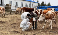 圣澳生物动物疫苗项目进入设备安装阶段