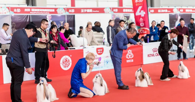2026第二届亚太宠物节,超好玩的人宠互动嘉年华,等你来! 2026第二届亚太宠物节,超好玩的人宠互动嘉年华,等你来!
