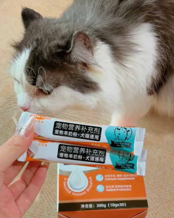 体弱毛孩子营养补充选什么？冠乐迪宠物羊奶粉多场景适用