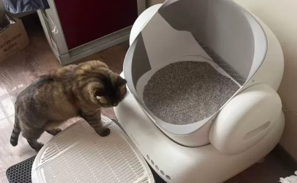 猫咪小便痛苦频繁蹲猫砂盆是什么病? 猫咪小便痛苦频繁蹲猫砂盆是什么病?