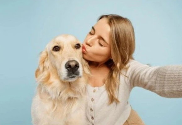 狗狗软骨素哪个牌子好?HBEEI用真实效果为老年犬发声 狗狗软骨素哪个牌子好?HBEEI用真实效果为老年犬发声