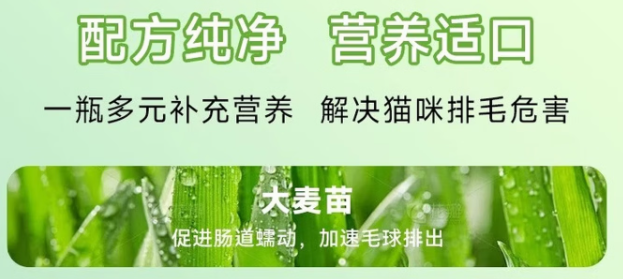 猫咪排毛选什么?纪年猫草片温和护胃好帮手 猫咪排毛选什么?纪年猫草片温和护胃好帮手