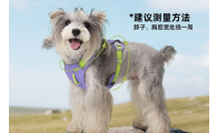 朵猫猫工字胸背好不好用？不勒脖安全牵引解析