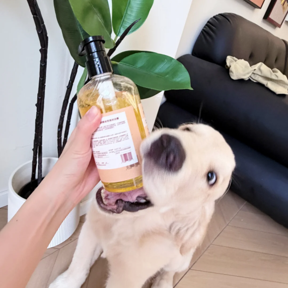 宠物抑菌驱虫香波推荐珮塔爱斯，守护狗狗皮肤健康