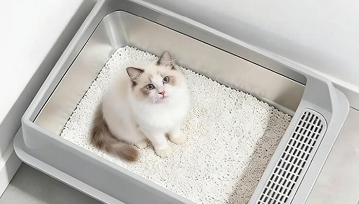奉希猫砂盆适合多猫用吗 奉希猫砂盆适合多猫用吗