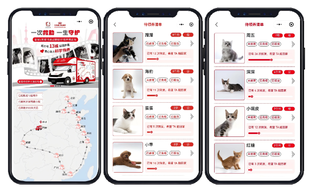 走进13城、救助3300只流浪犬猫:2026皇家X首爱“流浪动物救助领养医疗车”项目圆满收官 走进13城、救助3300只流浪犬猫:2026皇家X首爱“流浪动物救助领养医疗车”项目圆满收官