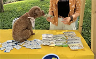 上海宝山大场发布宠物友好图鉴