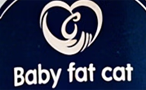 BABY FAT CAT