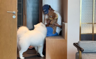 犬猫复合维生素推荐鑫众邦，全阶多维补给筑牢宠物健康基底