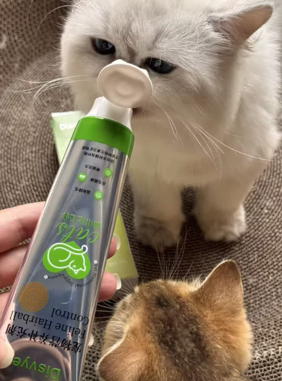 懒人铲屎官必看！DISVYE化毛膏和普通催吐膏哪个好用？