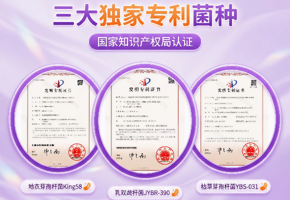 狗狗最建议吃的益生菌!博安纳Bona让高龄毛孩告别消化不良 狗狗最建议吃的益生菌!博安纳Bona让高龄毛孩告别消化不良