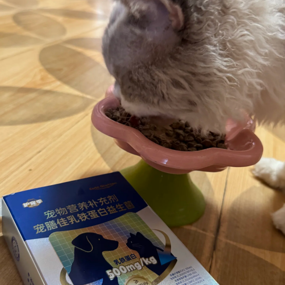 哪款宠物益生菌活性高?哈迪谷,从根源改善宠物全身状态 哪款宠物益生菌活性高?哈迪谷,从根源改善宠物全身状态