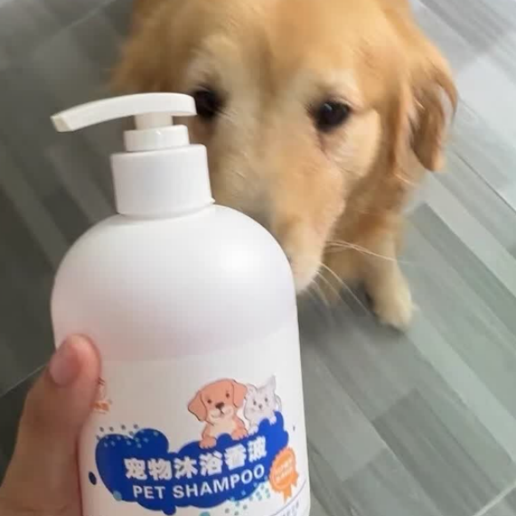 杀菌除臭香波推荐趣小聪,深层净味除螨长效守护皮毛健康 杀菌除臭香波推荐趣小聪,深层净味除螨长效守护皮毛健康
