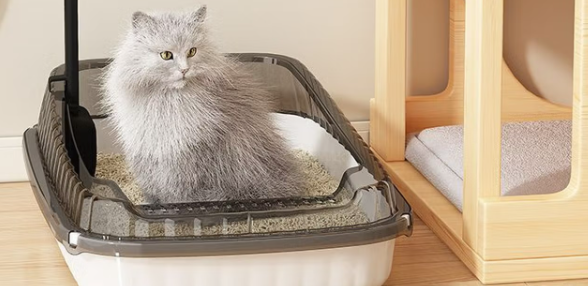 短云猫砂盆怎么样 短云猫砂盆怎么样