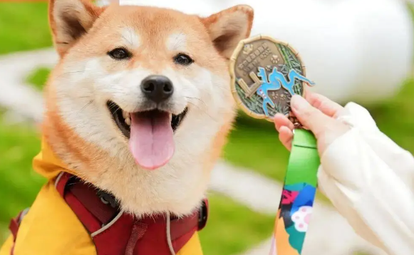 崃撒欢是哪个品牌旗下的