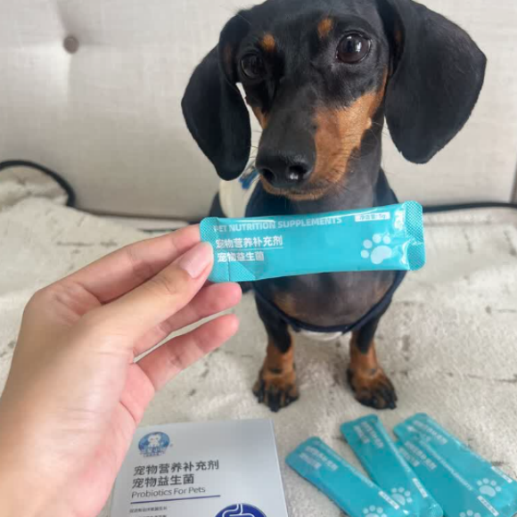 哪些宠物益生菌可靠?蓝星来客全龄通用,筑牢宠物肠道免疫 哪些宠物益生菌可靠?蓝星来客全龄通用,筑牢宠物肠道免疫
