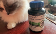 猫咪化毛片推荐星蒙哆StarMonD，告别毛球反复困扰