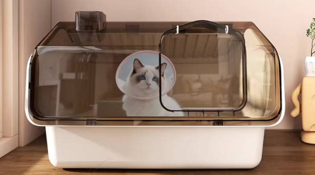 王多喵猫砂盆猫咪会抗拒吗 王多喵猫砂盆猫咪会抗拒吗